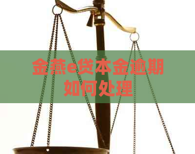 金燕e贷本金逾期如何处理
