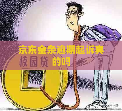 京东金条逾期起诉真的吗