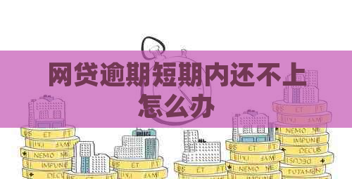 网贷逾期短期内还不上怎么办