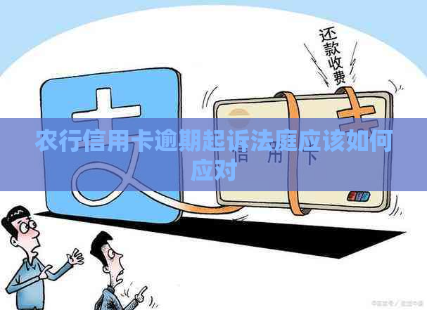 农行信用卡逾期起诉法庭应该如何应对