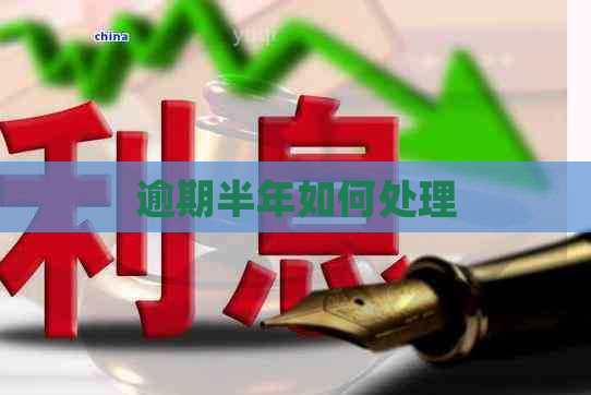 逾期半年如何处理