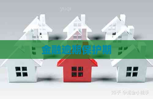 金融逾期保护期
