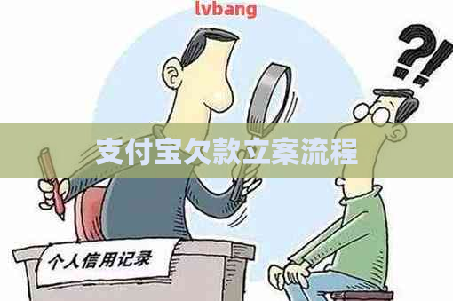 支付宝欠款立案流程