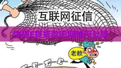 中银E贷贷款逾期如何处理