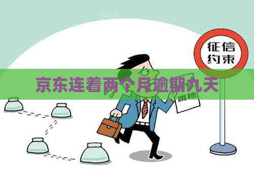 京东连着两个月逾期九天