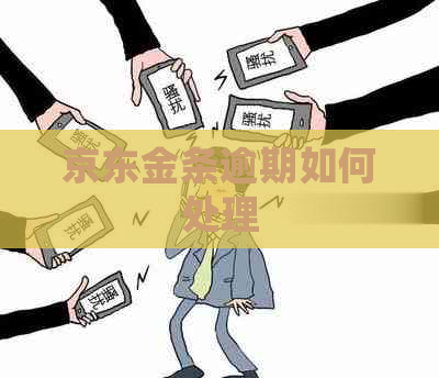 京东金条逾期如何处理