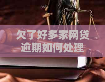 欠了好多家网贷逾期如何处理