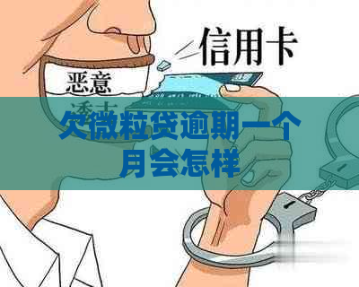 欠微粒贷逾期一个月会怎样