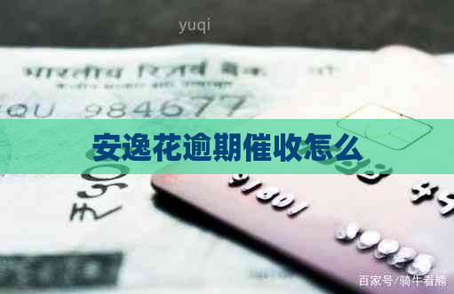 安逸花逾期怎么