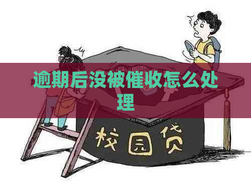 逾期后没被怎么处理