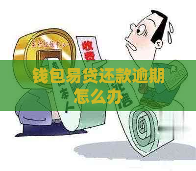 钱包易贷还款逾期怎么办