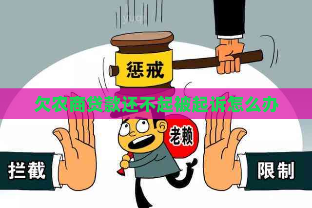 欠农商贷款还不起被起诉怎么办