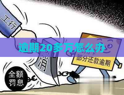 逾期20多万怎么办