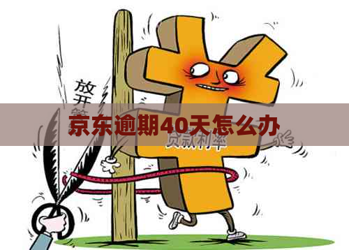京东逾期40天怎么办