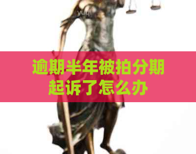 逾期半年被拍分期起诉了怎么办