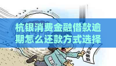 杭银消费金融借款逾期怎么还款方式选择