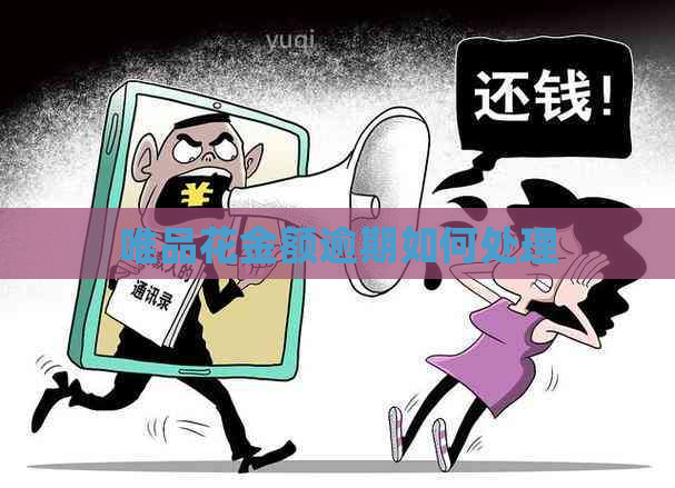 唯品花金额逾期如何处理