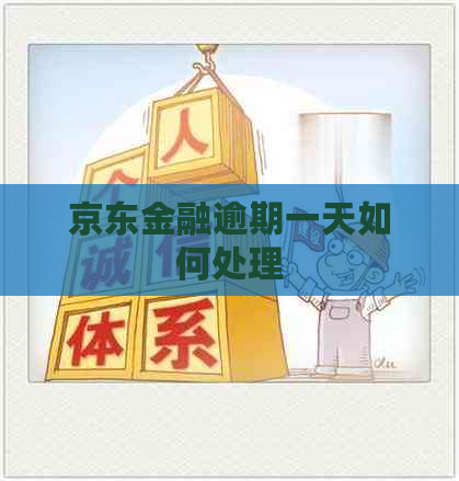 京东金融逾期一天如何处理