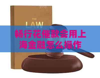 畅行花催款会用上海金融怎么操作