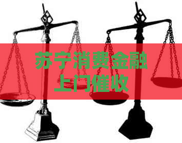 苏宁消费金融上门