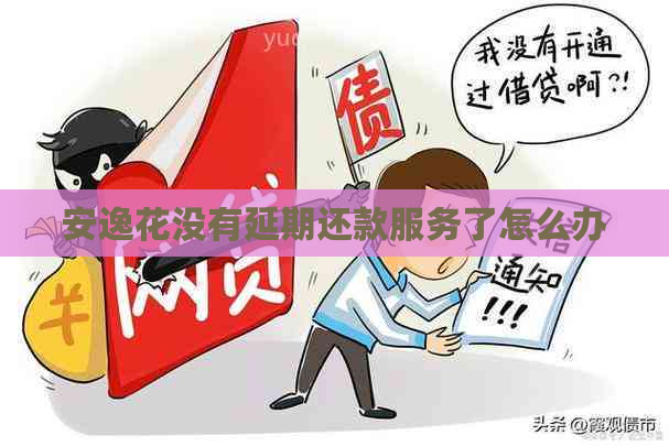 安逸花没有延期还款服务了怎么办