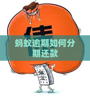 蚂蚁逾期如何分期还款