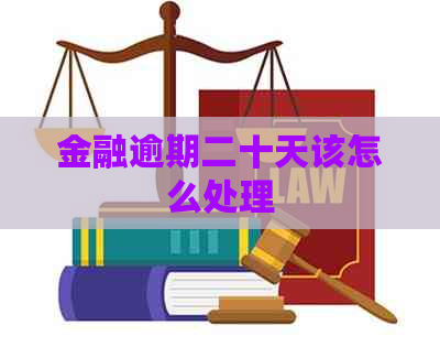 金融逾期二十天该怎么处理
