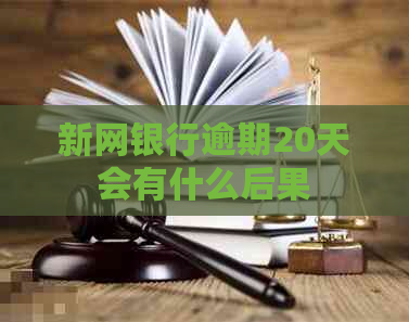 新网银行逾期20天会有什么后果