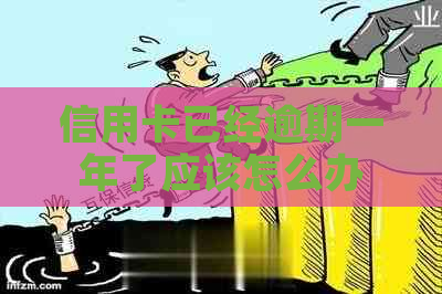 信用卡已经逾期一年了应该怎么办