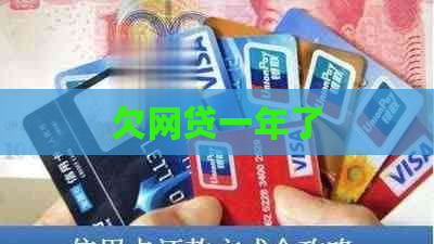 欠网贷一年了