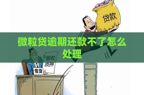微粒贷逾期还款不了怎么处理