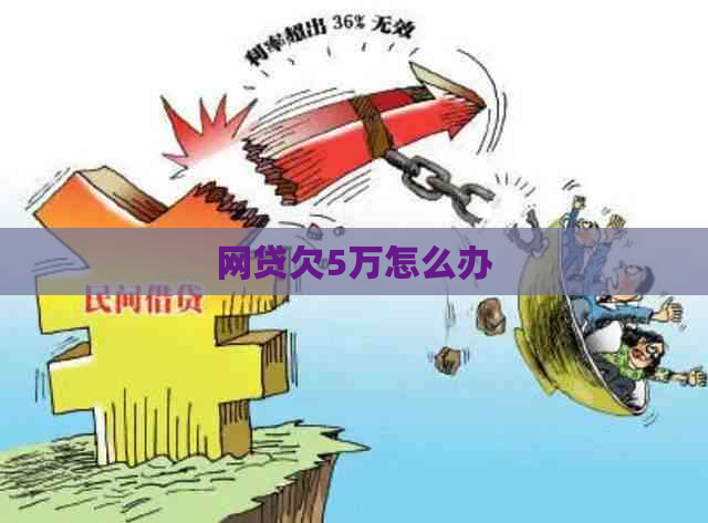 网贷欠5万怎么办