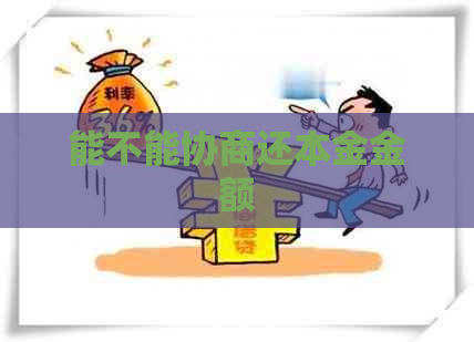 能不能协商还本金金额