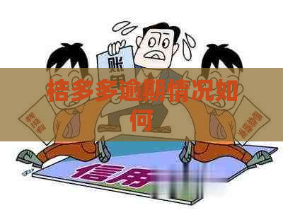 桔多多逾期情况如何