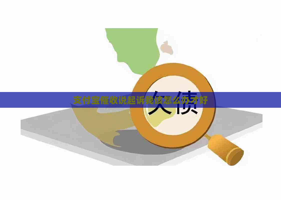 支付宝说起诉我该怎么办才好