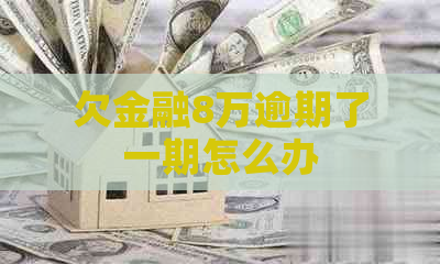 欠金融8万逾期了一期怎么办