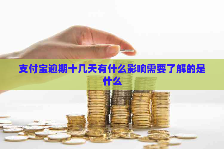 支付宝逾期十几天有什么影响需要了解的是什么