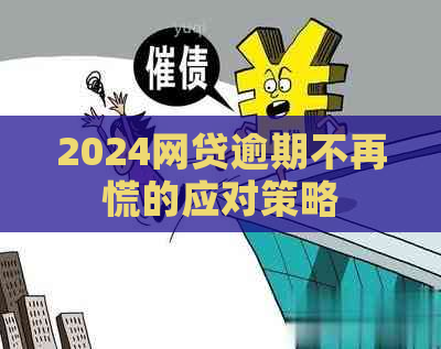 2024网贷逾期不再慌的应对策略