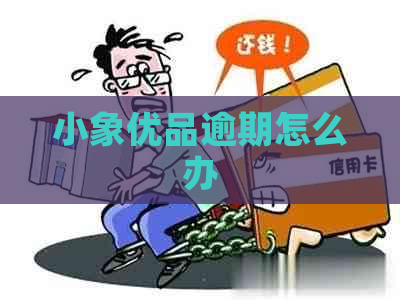 小象优品逾期怎么办