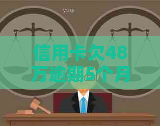 信用卡欠48万逾期5个月如何解决
