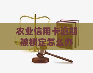 农业信用卡逾期被锁定怎么办
