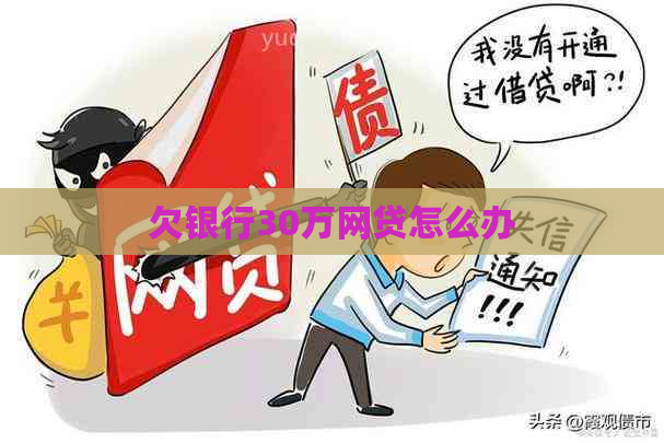欠银行30万网贷怎么办