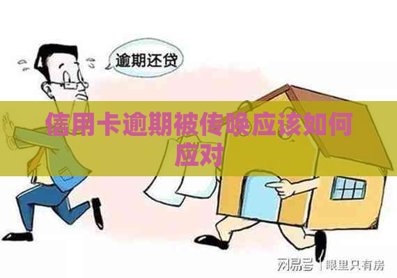 信用卡逾期被传唤应该如何应对