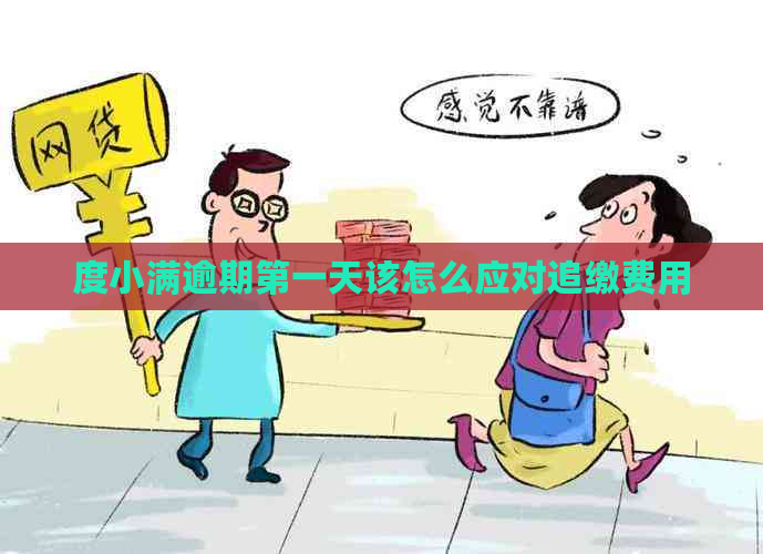 度小满逾期之一天该怎么应对追缴费用