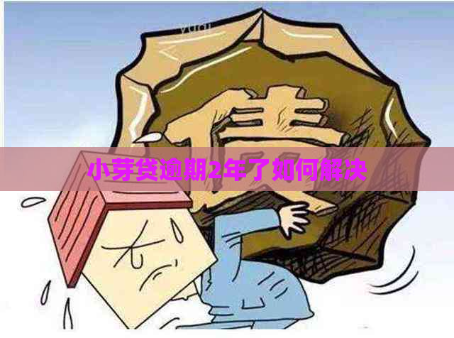 小芽贷逾期2年了如何解决