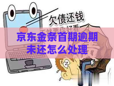 京东金条首期逾期未还怎么处理