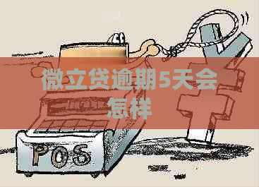 微立贷逾期5天会怎样