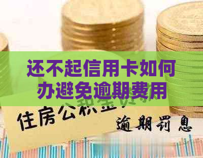 还不起信用卡如何办避免逾期费用
