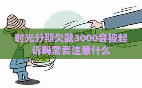 时光分期欠款3000会被起诉吗需要注意什么
