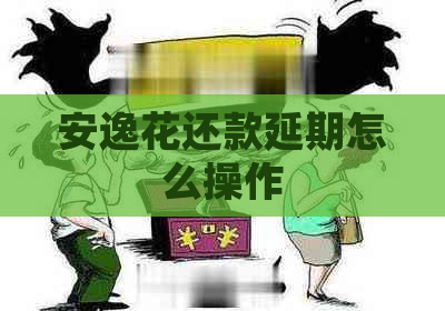 安逸花还款延期怎么操作